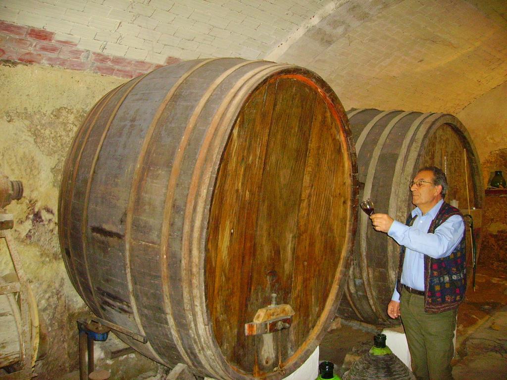 L'Antica Cantina Usini Phòng bức ảnh
